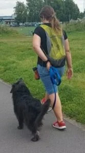 Privattime med hundetrener – skreddersydd veiledning