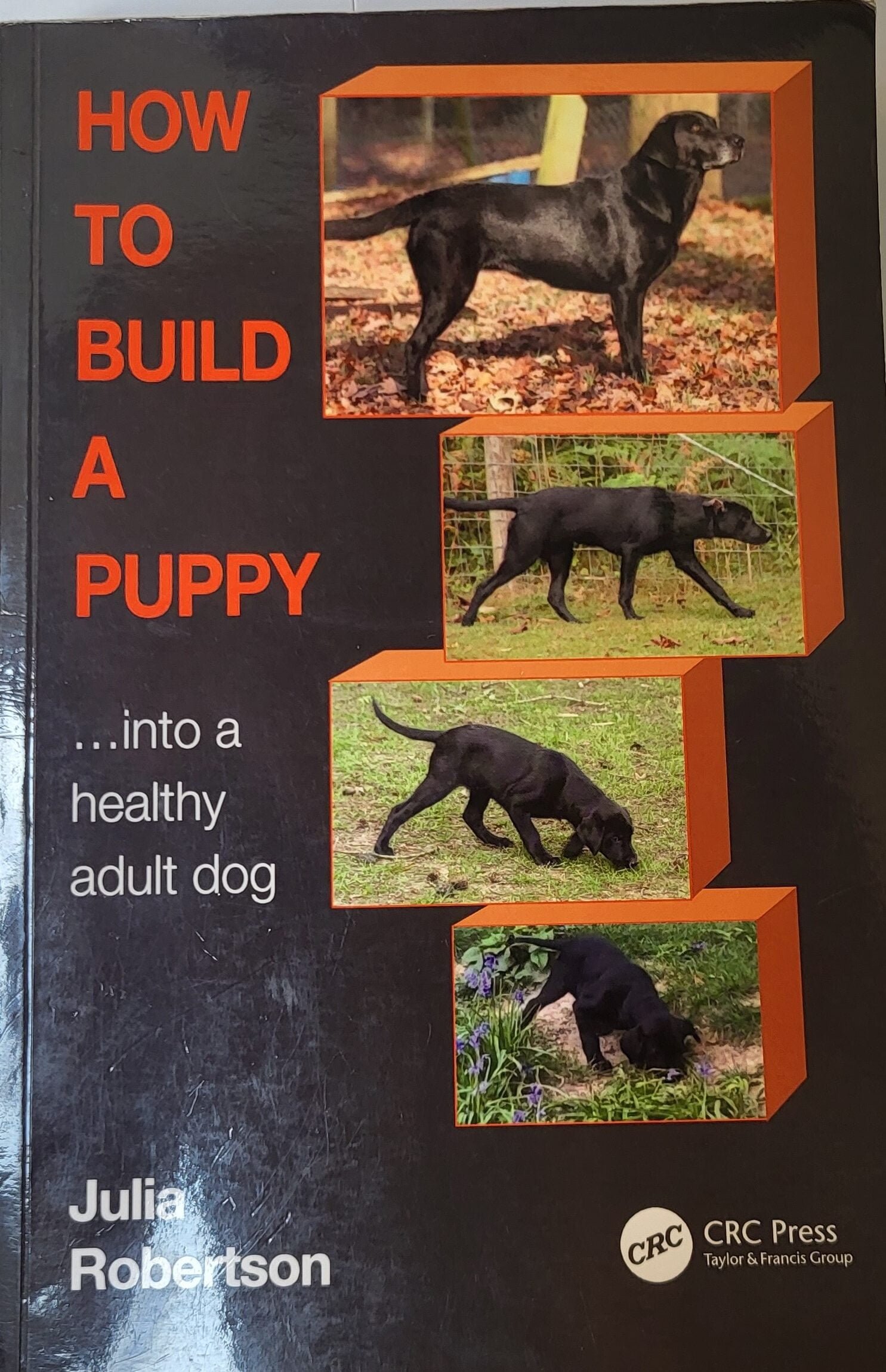 Bokomtale: How to Build a Puppy av Julia Robertson (2022)