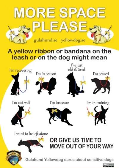 Plakat om Yellow Dog-prosjektet- gult bånd på hund betyr *mer avstand*