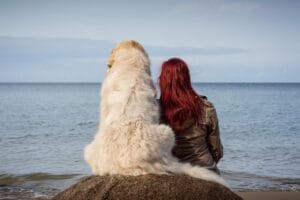 Hund og menneske sitter sammen i ro – helhetlig forståelse av hundens behov