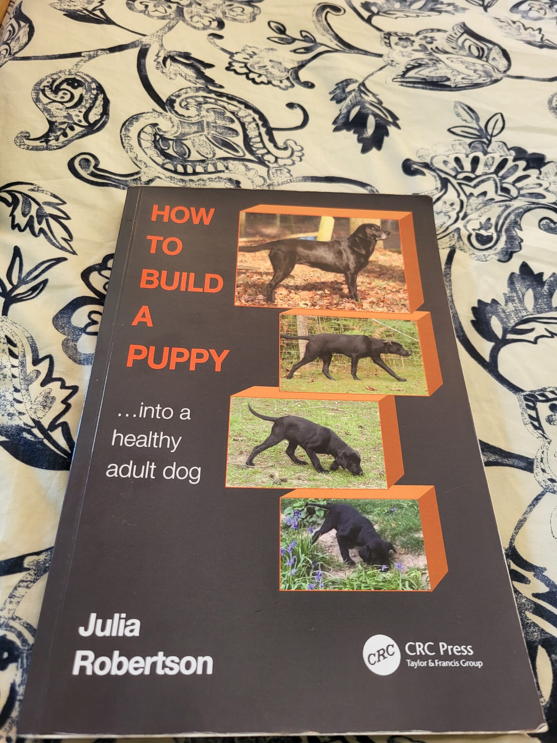Bok "How to build a puppy" av Julia Robertson