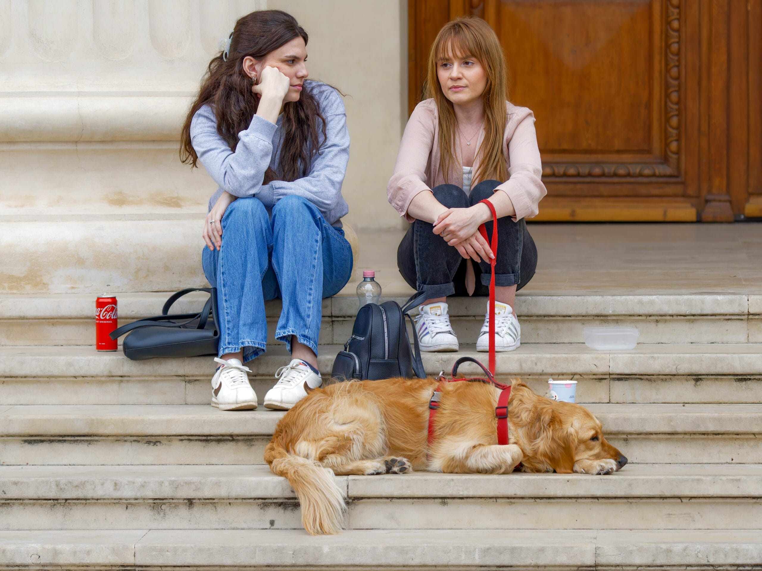 Hund sammen med mennesker i bymiljø – trening i ulike omgivelser