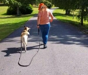 Rolig hundelufting i naturen med fokus på samarbeid og kontakt mellom hund og eier