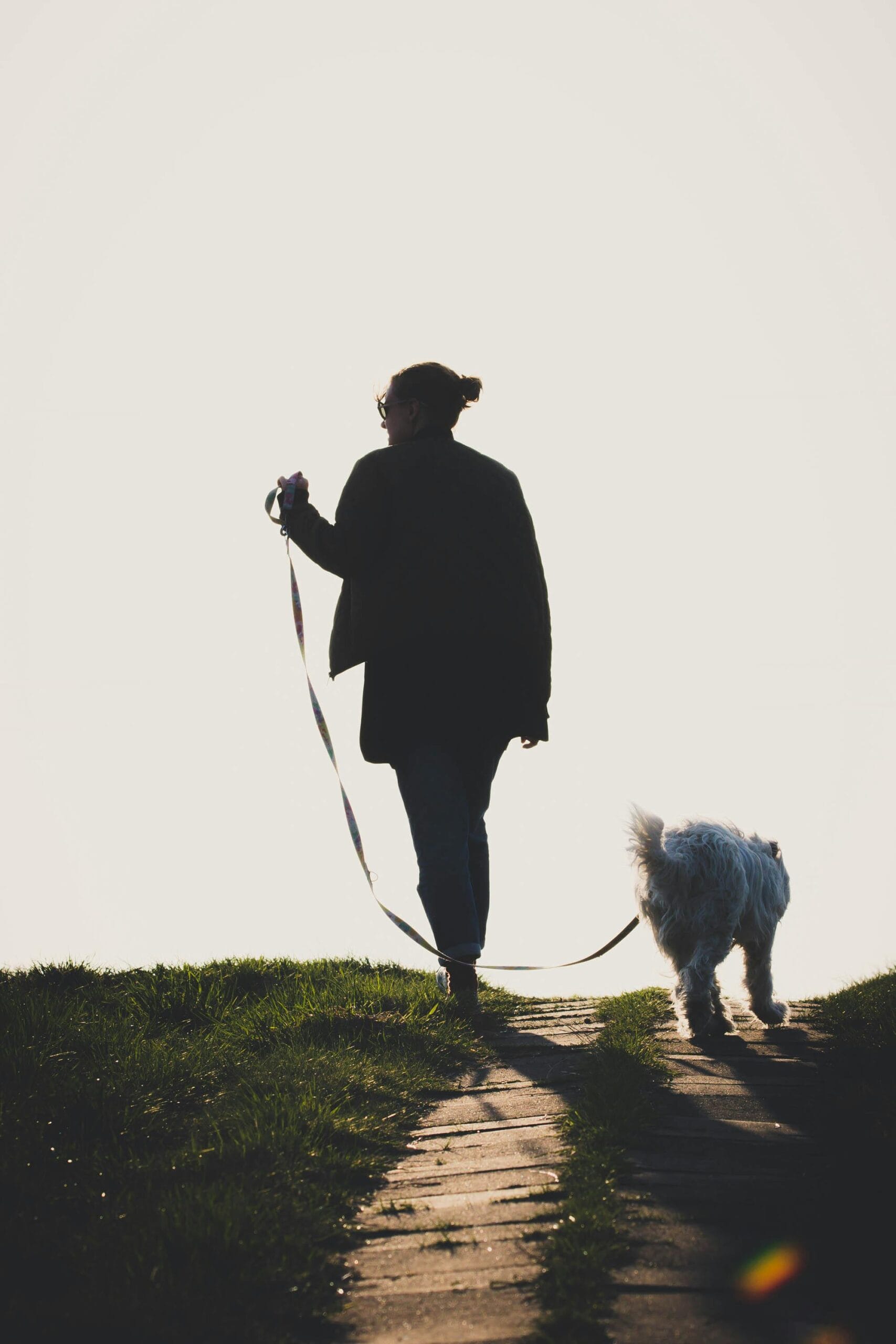 Hund og menneske på tur i naturen – fokus på hundens behov